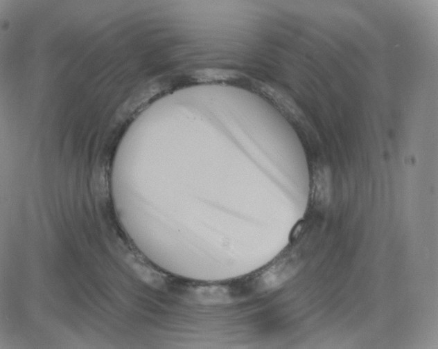 X0000080720426200701051039