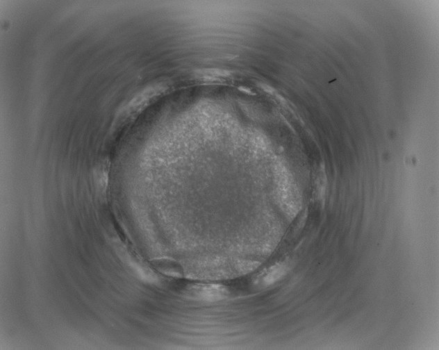 X0000080720427200701051039