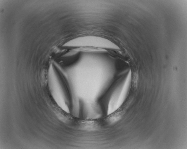 X0000080720428200701051039