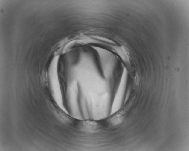 X0000080720429200701051039