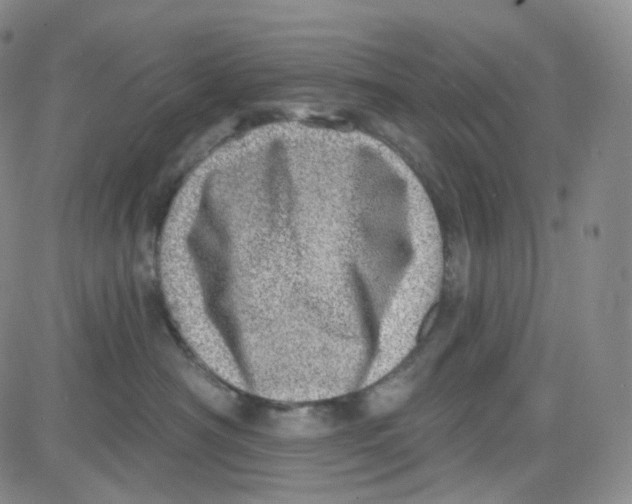 X0000080720430200701051039