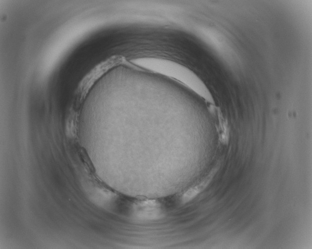 X0000080720431200701051039