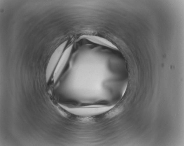 X0000080720432200701051039