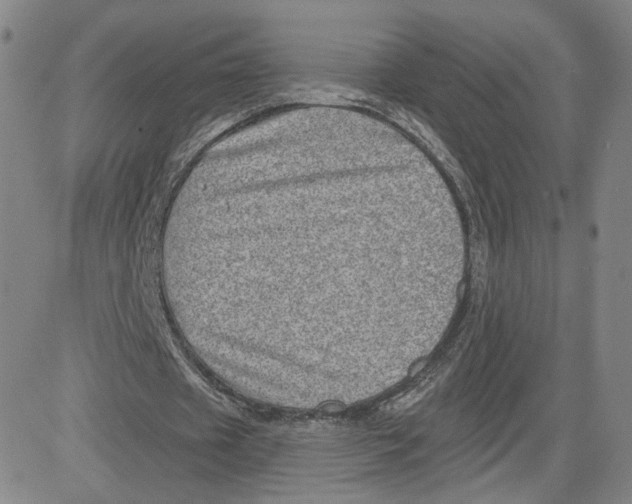 X0000080720433200701051038