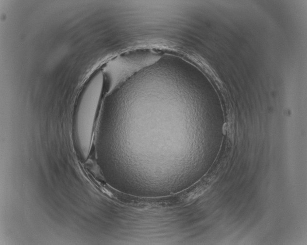 X0000080720434200701051038