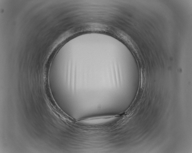 X0000080720435200701051038