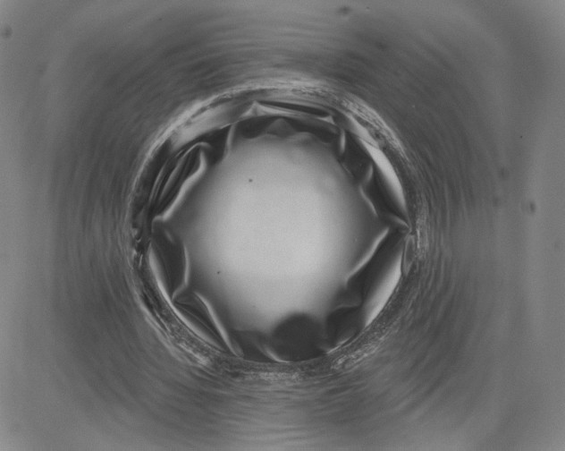 X0000080720436200701051038