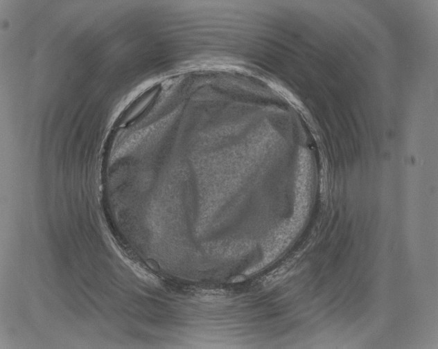 X0000080720438200701051038