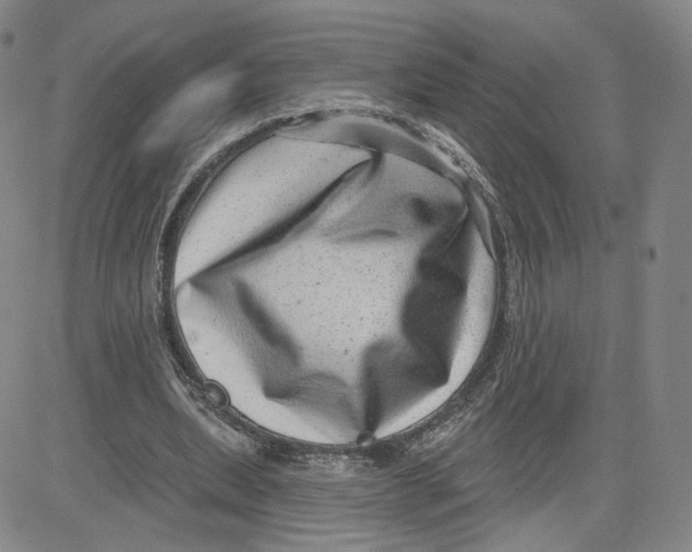 X0000080720439200701051038