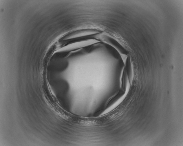 X0000080720440200701051038