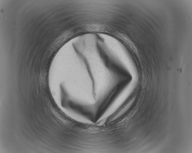 X0000080720441200701051038