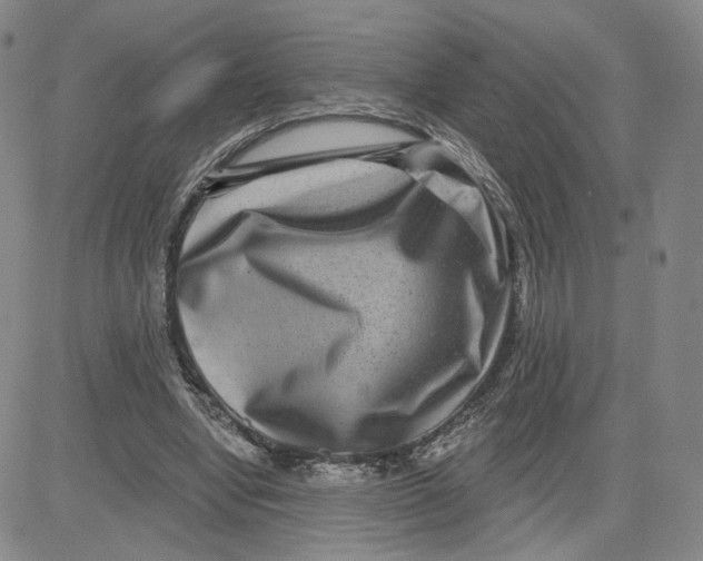 X0000080720442200701051038