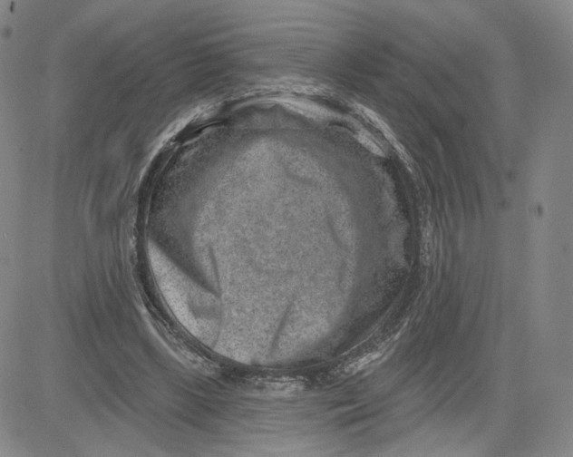 X0000080720443200701051038