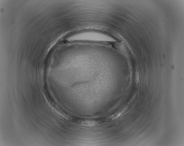 X0000080720444200701051038