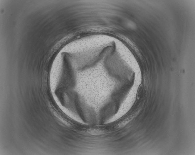 X0000080720445200701051038