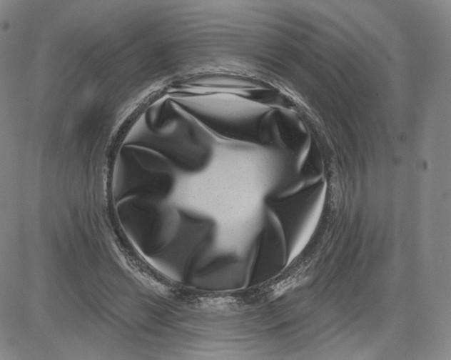 X0000080720446200701051038