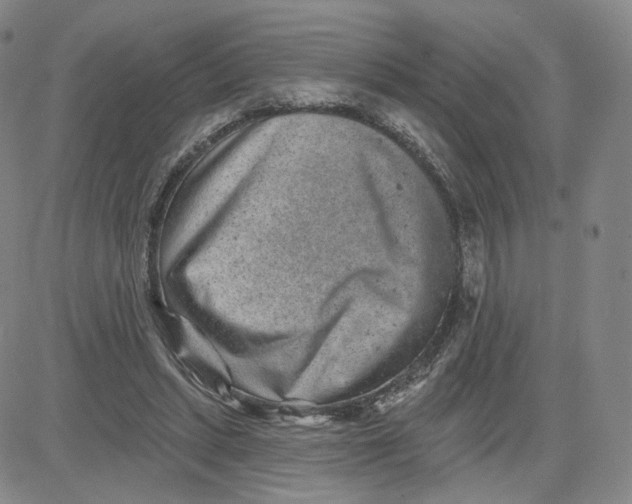 X0000080720447200701051038