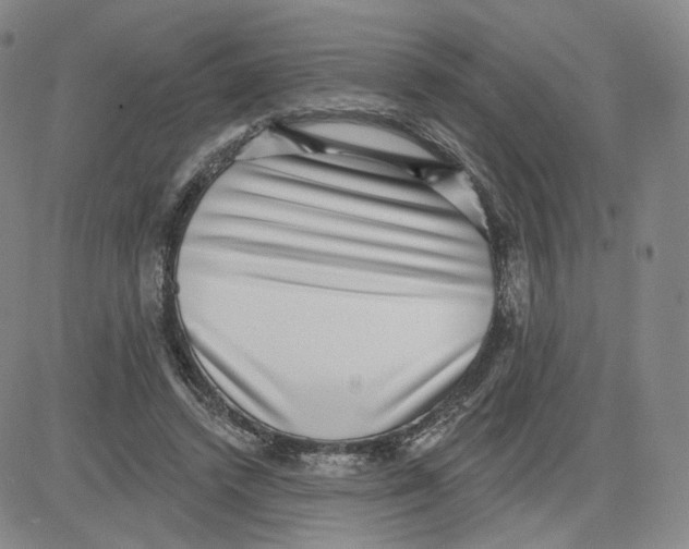 X0000080720448200701051038