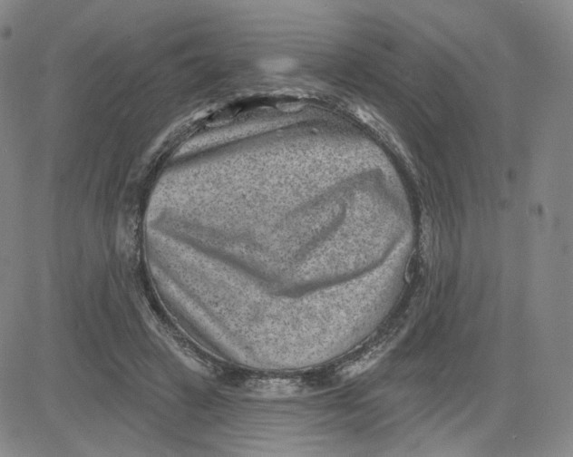 X0000080720449200701051038