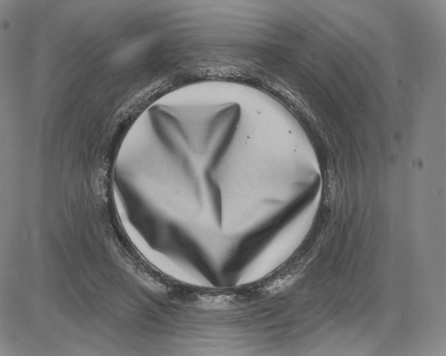 X0000080720450200701051038