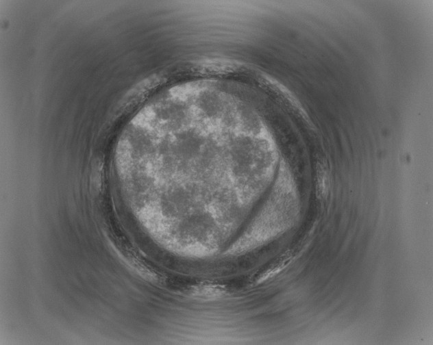 X0000080720451200701051038