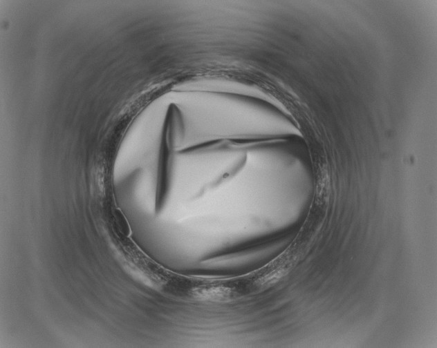 X0000080720452200701051038