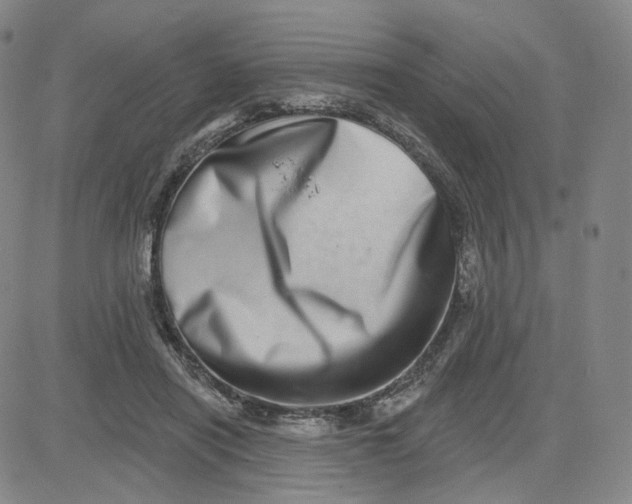 X0000080720454200701051038