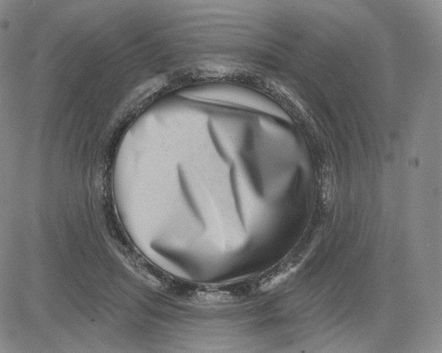 X0000080720455200701051038