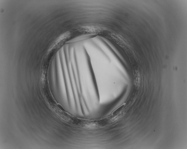 X0000080720456200701051038