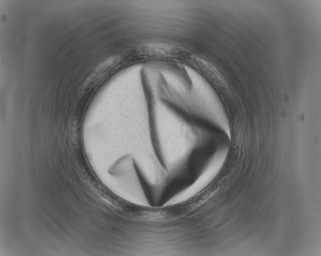 X0000080720457200701051038