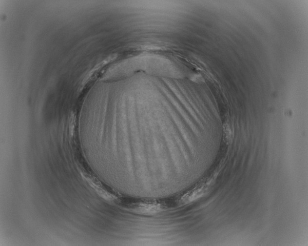 X0000080720458200701051038