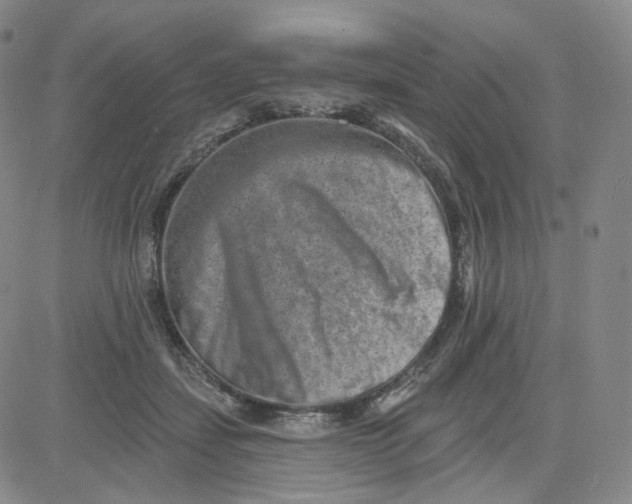 X0000080720459200701051038