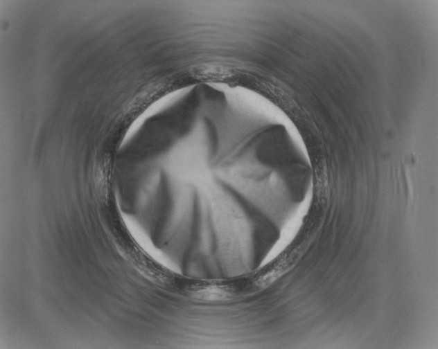 X0000080720460200701051038