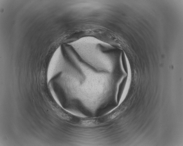 X0000080720461200701051038