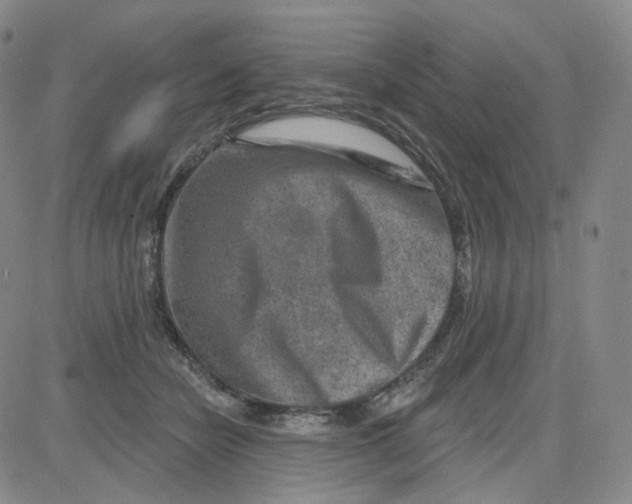 X0000080720462200701051038