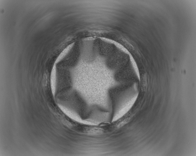 X0000080720463200701051038