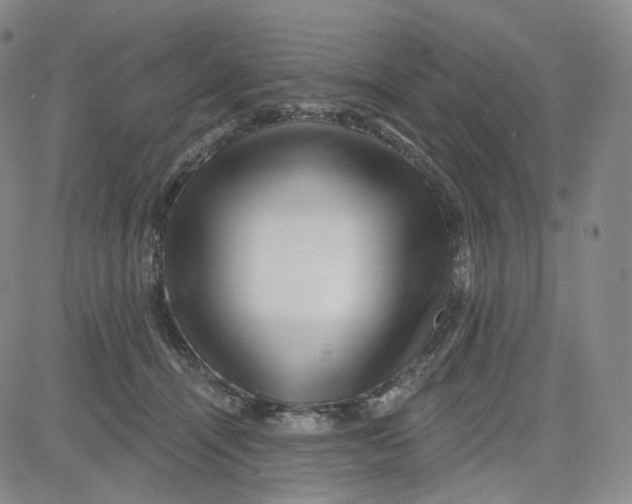 X0000080720464200701051038