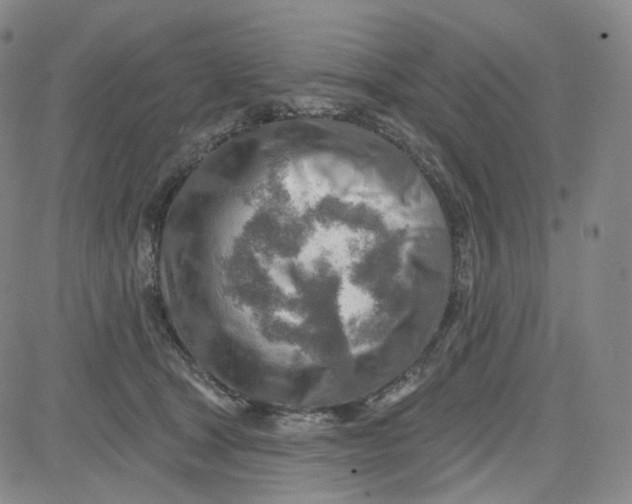 X0000080720465200701051038