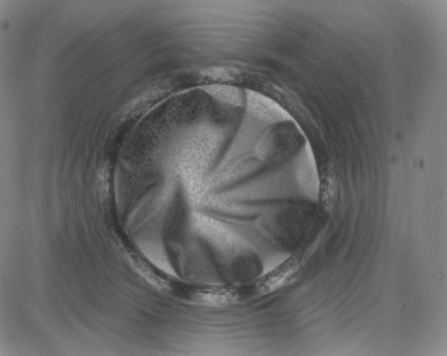 X0000080720466200701051038