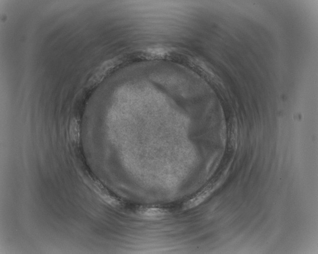 X0000080720467200701051038