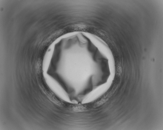 X0000080720468200701051038