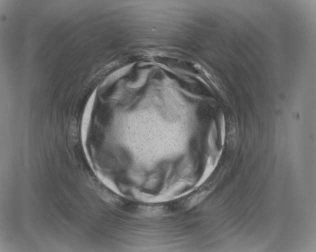 X0000080720469200701051038