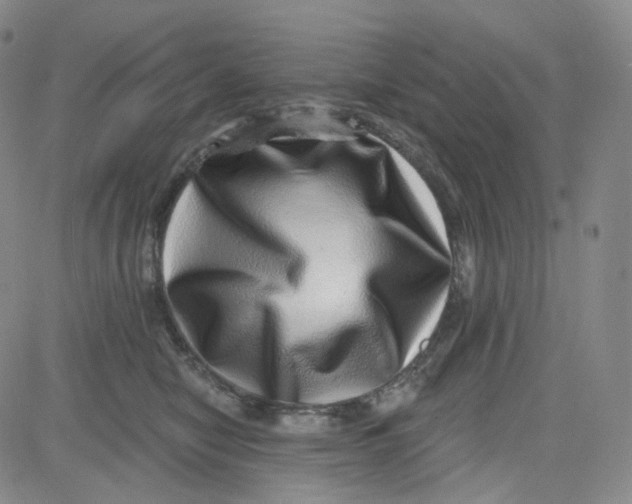 X0000080720470200701051038