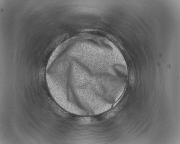 X0000080720473200701051039