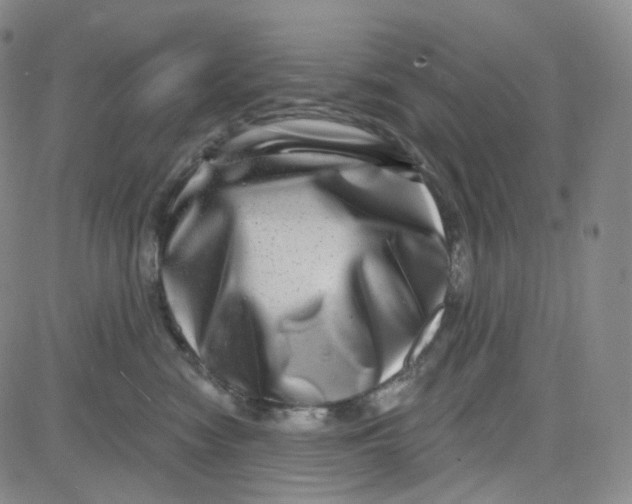 X0000080720474200701051039