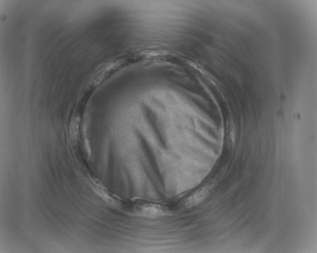 X0000080720475200701051039