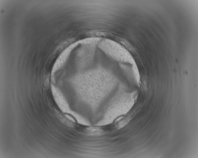 X0000080720477200701051039