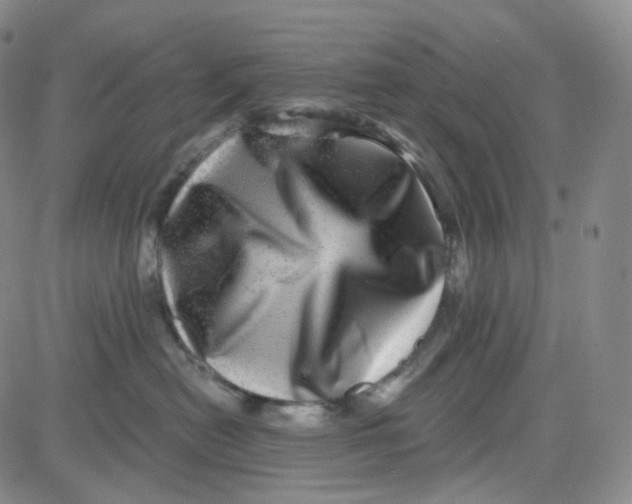 X0000080720478200701051039