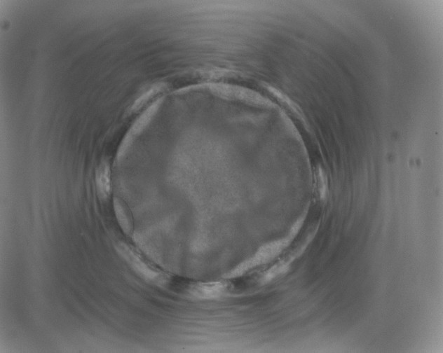 X0000080720479200701051039