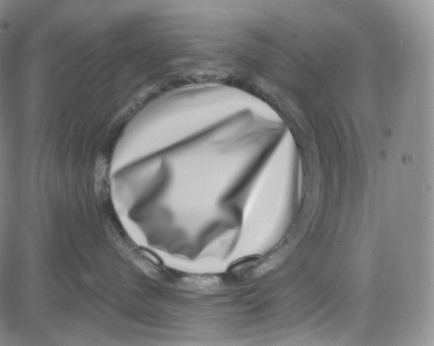 X0000080720480200701051039